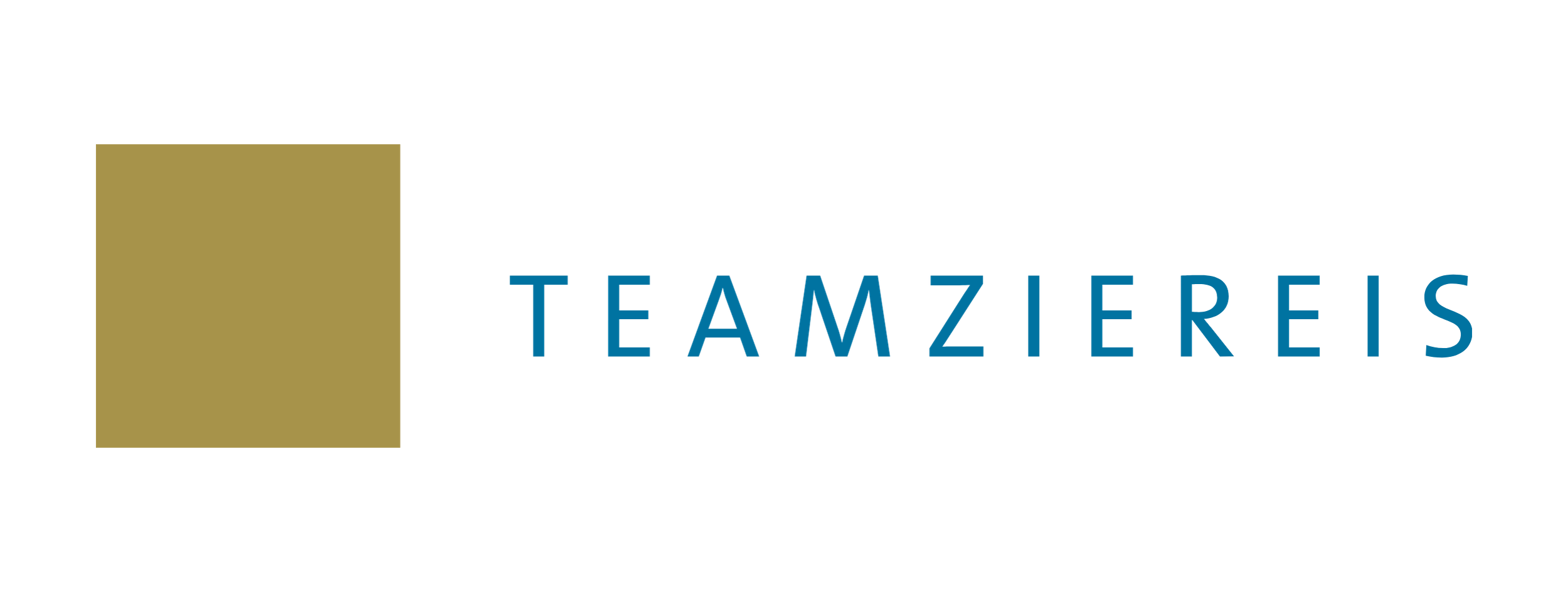 TEAMZIEREIS GmbH Logo